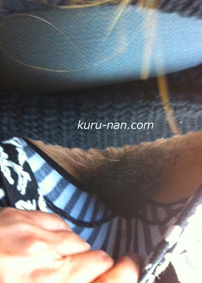 �n���B��